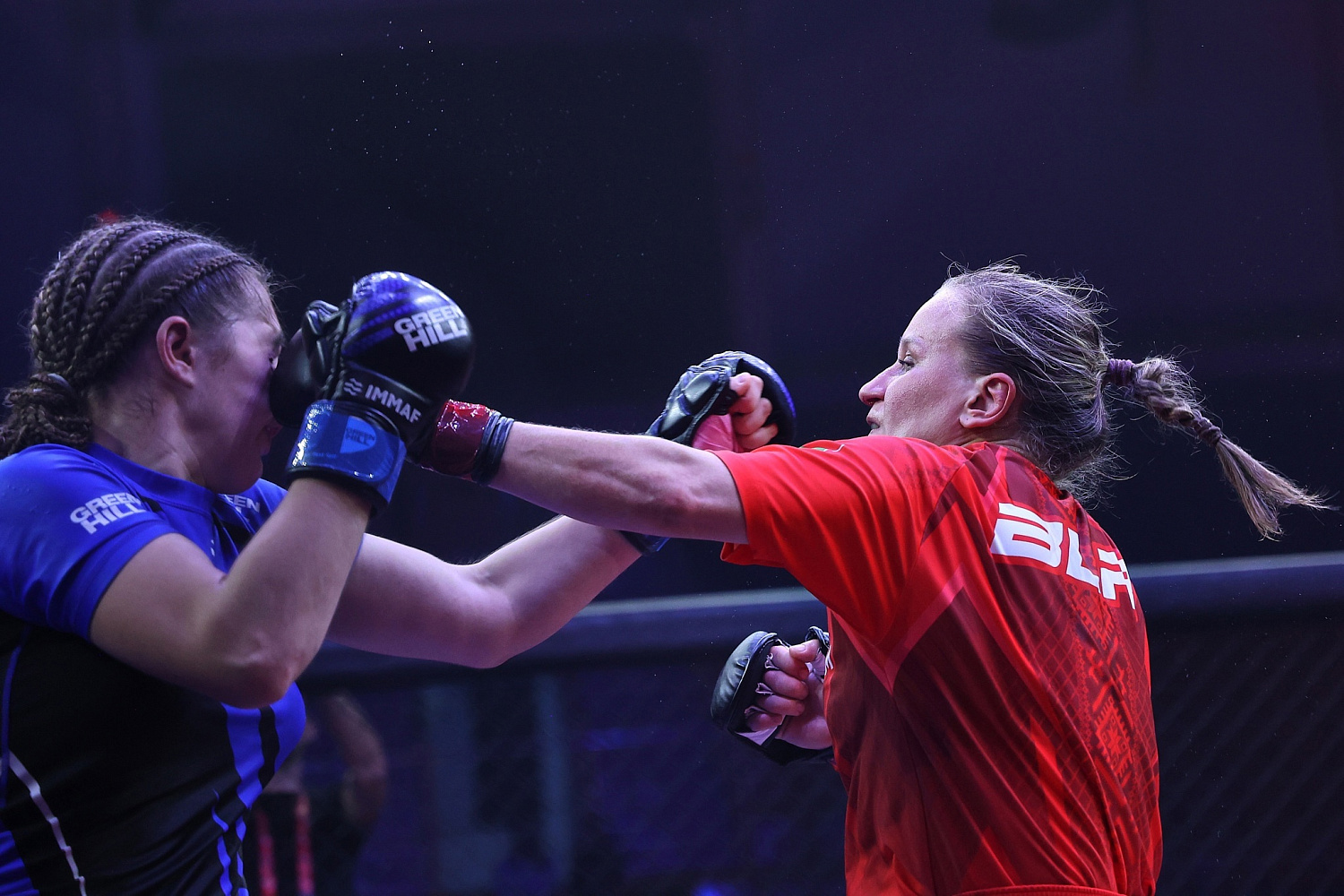 Чемпионата мира по ММА