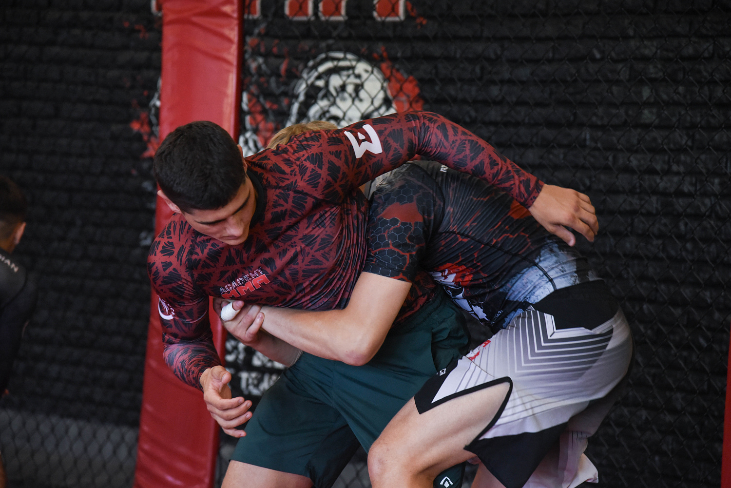 Мастер-класс Геннадия Павловича Капшая