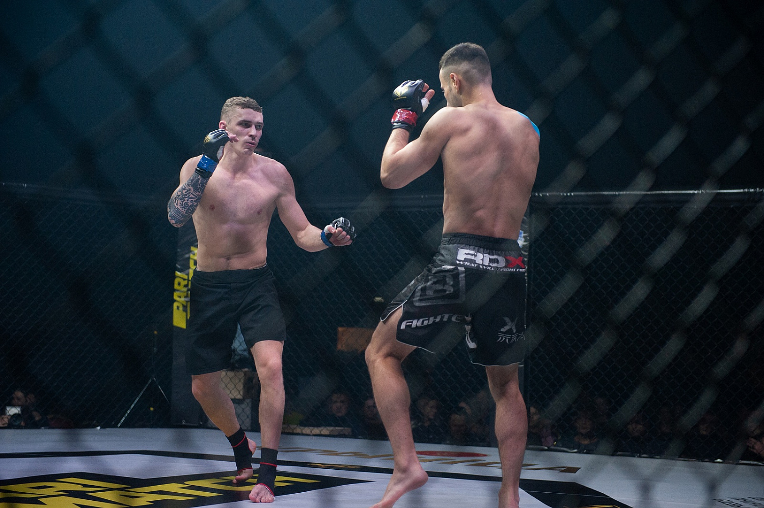 БОЙЦЫ ACADEMY MMA НА NFG 14