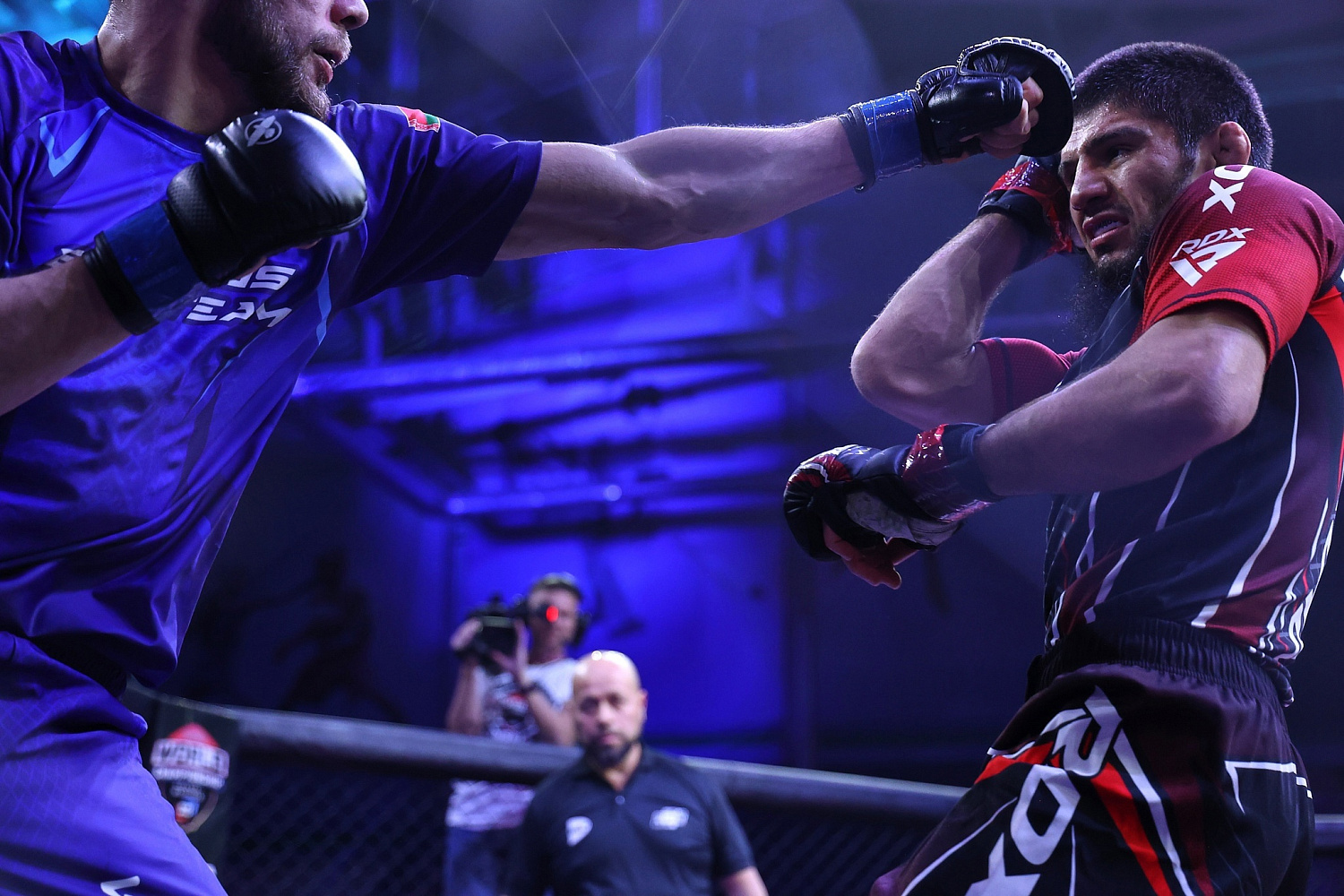 Чемпионата мира по ММА