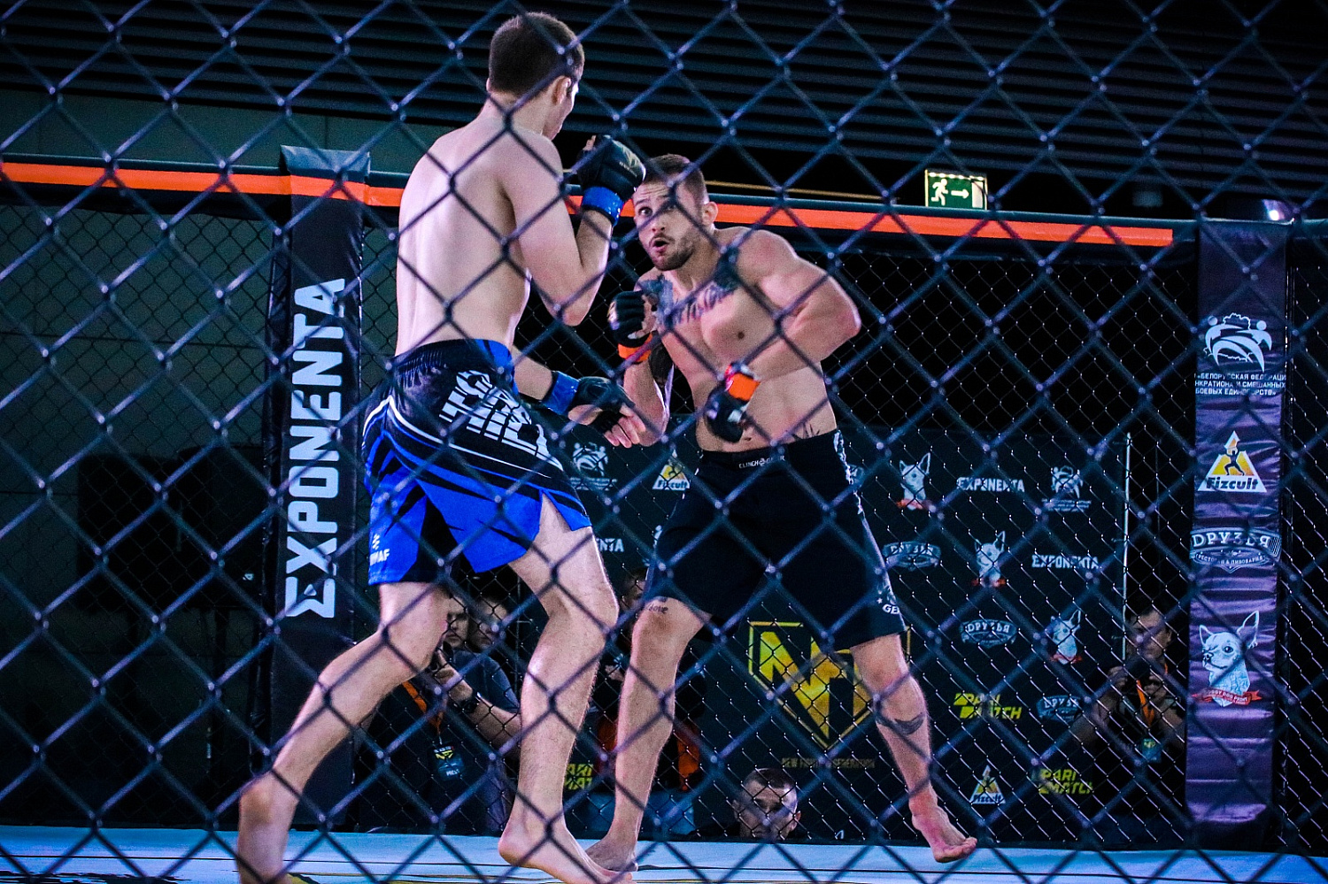 ROAD TO NFG 1: РЕЗУЛЬТАТЫ ТУРНИРА