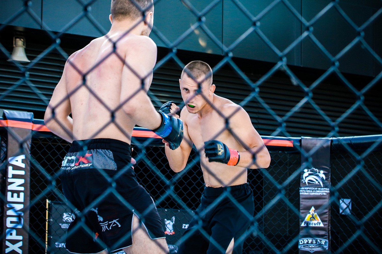 ROAD TO NFG 1: РЕЗУЛЬТАТЫ ТУРНИРА