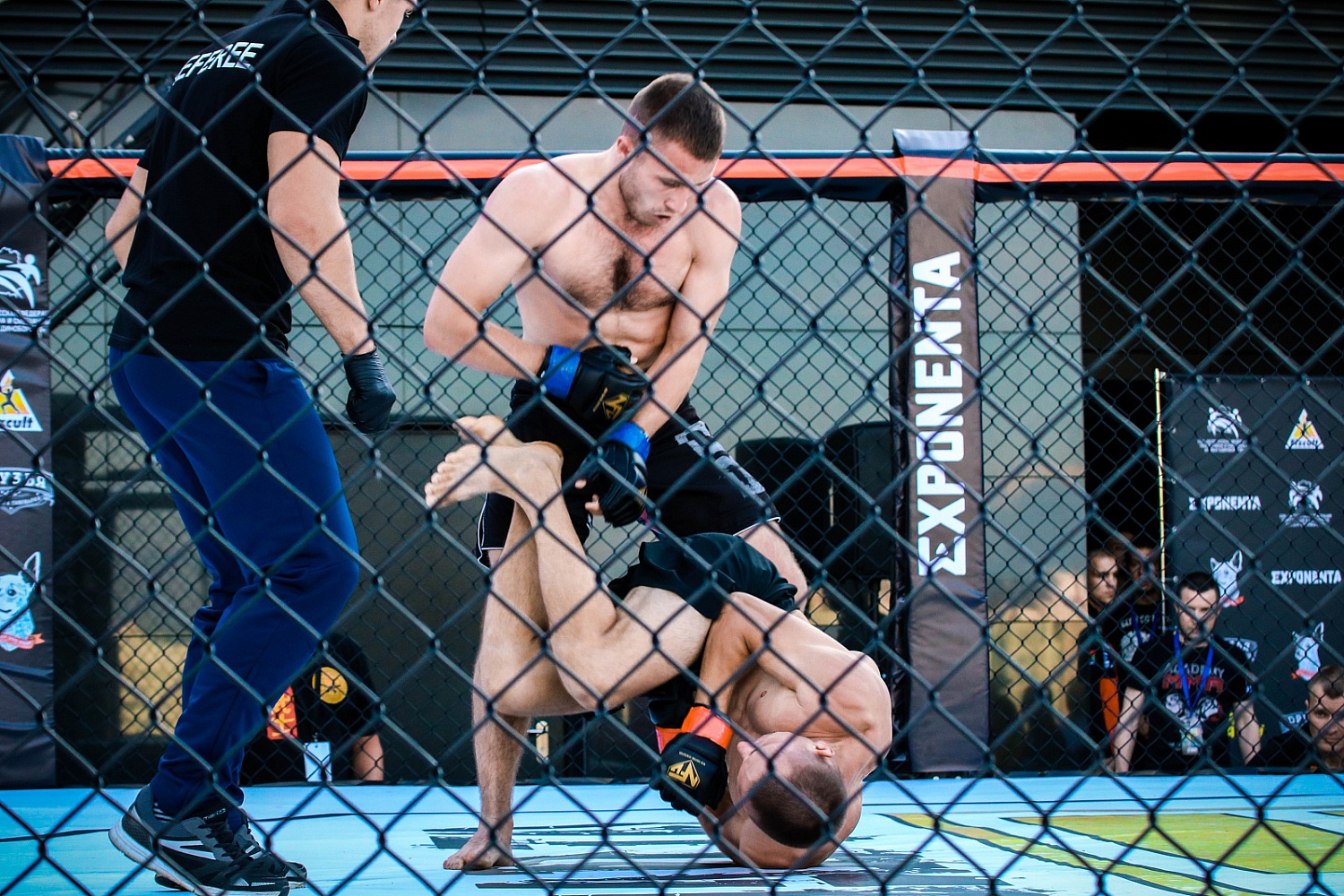 ROAD TO NFG 1: РЕЗУЛЬТАТЫ ТУРНИРА